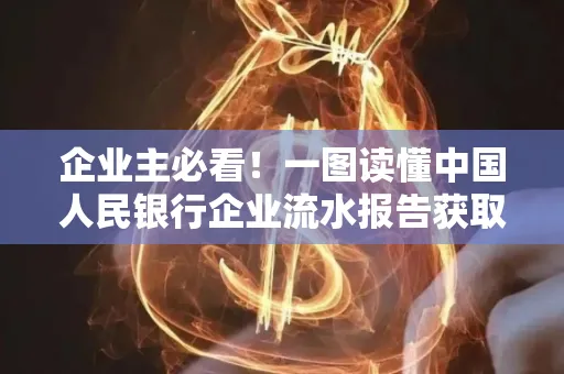 企业主必看！一图读懂中国人民银行企业流水报告获取全流程