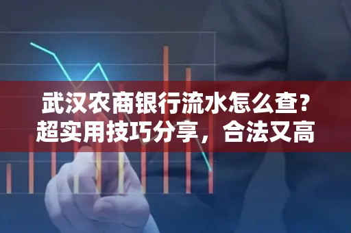 武汉农商银行流水怎么查？超实用技巧分享，合法又高效！