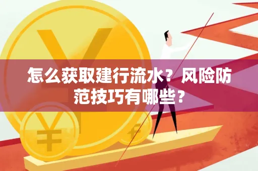 怎么获取建行流水？风险防范技巧有哪些？